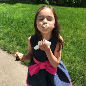 Elegant Pink and Navy Kids Dress